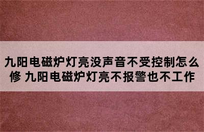 九阳电磁炉灯亮没声音不受控制怎么修 九阳电磁炉灯亮不报警也不工作